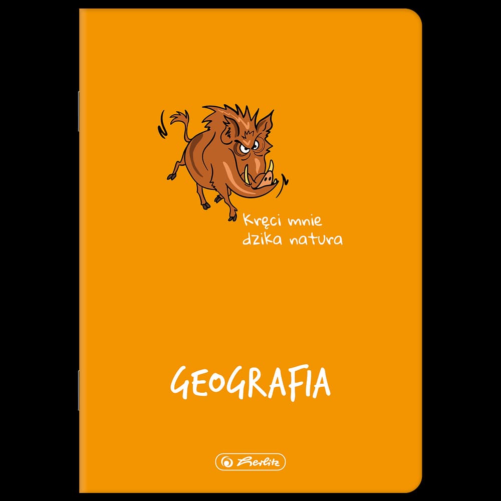 Zeszyty przedmiotowe Herlitz - 11 sztuk